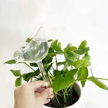 Bombillas de riego automático para plantas Bola de autorriego/Dispositivo de agua con forma de pájaro Sistema de riego por goteo para plantas de flores del jardín del hogar - Multicolor - Ver 4