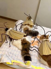 1 Set Practical Striped Funny Cat DIY Costume Set, Felt And Twisted Wood Material, Easy To Make By Hand, Creative Dress-Up Props, Suitable For Home DIY And Fun Outfits, Novel Handmade Materials, Ideal Valentine's Day Gift - Multicolor - View 10