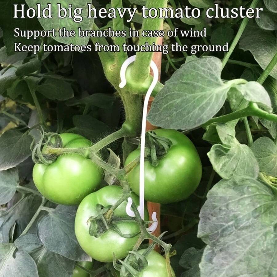 10/20pcs Fruit And Vegetable Plant Support Hooks, Prevent Fruit Dropping, Reusable Plastic Plant Support Hooks, Suitable For Tomatoes, Cucumbers, Grapes, Eggplants And Various Vegetables, Gardening Agriculture Potted Container Auxiliary Accessories, Help Vegetables And Flowers Grow Robustly, Multi-Component Stable Structure, Plant Auxiliary Accessories - A - View 1