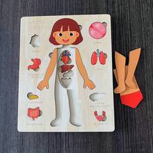 1pc Children's Educational Wooden Puzzle For Body Structure Learning And Cognition, Parent-Child Interactive Toy For Mothers - Color Mixing - View 13
