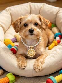 1pc Luxury Pearl Pet Necklace, Gold Coin Pendant Collar For Small Dogs Cats, Fashion Accessory Kawaii Aesthetic Pearl Pet Collar, Shiny Gold Coin Pendant Necklace For Dogs Cats, Pet Jewelry - Multicolor - View 2