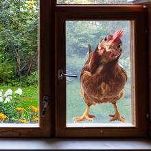 1/3/5pcs 3D Effect Funny Tilting Head Hen Static Window Cling, 45x26cm Self-Adhesive Reusable Sticker, Suitable For Glass Window Door Mirror Wall, Spoof Funny Farmhouse Home Decoration, Perfect Housewarming Gift For Animal Lovers & Home Decor. - Multicolor - View 5