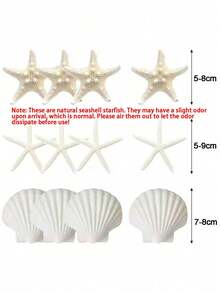 9/15 piezas Decoraciones de estrella de mar, pequeñas estrellas de mar para manualidades, mini conchas para manualidades, conchas de almeja de vieira para fiesta temática oceánica DIY, boda, reunión - Multicolor - Ver 3