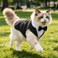 1 Set Pet Formal Wear (With Bow Tie) All-Season Wearable Handsome Fashion Suit + Bow Tie Pet Clothing (Suitable For Dogs And Cats) Can Be Given As A Gift, Suitable For Various Occasions - Black - View 12