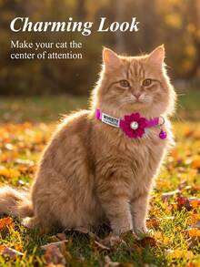 1pc Customized Rhinestone Flower Decor Pet Collar, Cartoon Anti-Choking Buckle Adjustable Size, Suitable For Cats Under 5kg Or Small/Medium Dogs, Personalized Label,Christmas Gift Supplies - Multicolor - View 5