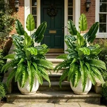 2件裝人造棕櫚樹波斯草，高品質大尺寸仿真綠植，熱帶仿真綠植，仿生綠葉 - 免維護，適用於別墅庭院、休閒角落、陽光房、泳池區、酒店辦公室，|春/夏全年使用，母親節、父親節、日、六月節、畢業季及其他節日| 家居造型師、陽台綠化、栩栩如生的枝葉、高級枝葉、活動策劃 - 綠色 - 查看 6