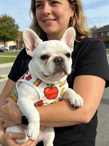 1pc Back Toschool Pet Clothes, Cute Cartoon Schoolbus Pencil Apple Print Dog Cat Vest, Soft Breathable Summer Pet Shirt, Light Green Sleeveless Puppy Kitten Vest, Pet Apparel For Small Medium Dogs Cats, School Season Party Costume, Home Pet Supplies. - White - View 4
