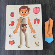1pc Children's Educational Wooden Puzzle For Body Structure Learning And Cognition, Parent-Child Interactive Toy For Mothers - Color Mixing - View 7