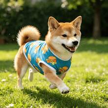 透氣快乾寵物狗T恤，輕量舒適無袖背心，適合小型犬與幼犬的夏季衣物 - 彩色 - 查看 4