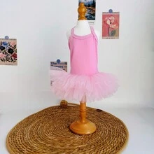 Cat Clothes Spring Summer New Thin Ballet Tutu Dress Teddy Schnauzer Bichon Frise Clothing - Multicolor - View 10