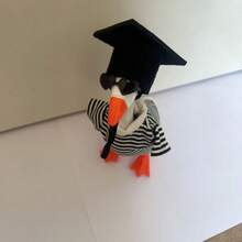 Graduation Desktop Goose Outfit Creative Mini Plastic Goose Striped Clothes, Hat, Sunglasses For Home Party Decor - B - 查看 7
