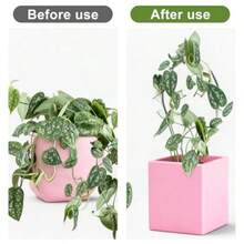 Plant Support2Pcs Round Plant Trellis Acrylic Small Trellis Climbing Plants Indoor Outdoor Plant Support For Hoya Pothos Vine Ivy Monstera Flower Philodendrons Dischidia - Black - View 3