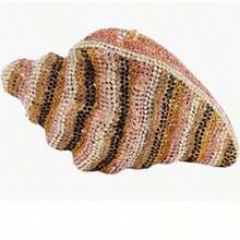 Bolso de noche brillante con conchas marinas y pedrería para mujer, bolso de mano de verano para cenas, playa, fiesta de graduación. - Marrón - Ver 3