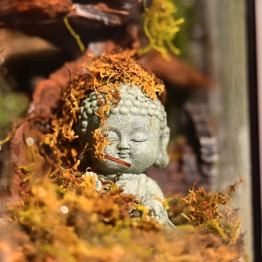 禪僧佛像 - 綠色砂岩茶寵,勇敢冥想與祝福雕塑,招財納福,適合室內外居家、辦公室或車內裝飾 - 查看 1