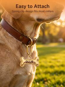 Customized Bone Shaped Pet ID Tag, Personalized Dog ID Tag Laser Engraved With Pet Name Address Phone Number, Durable Identification Tag For Dogs And Cats, Pet Supplies, Dog Medical Alert Tag - Multicolor - View 6