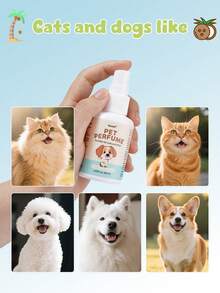 Oivolii Pet Deodorizing Spray, Pet Perfume - Vanilla Coconut Scent, Long-Lasting Fragrance, Keeps Pets Smelling Fresh And Clean., Suitable As A Daily Grooming Tool For Dogs And Cats, A Great Gift For Pets. 2.03fl.Oz. - 60ml - View 8