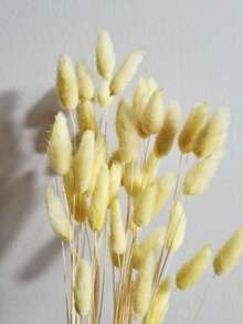 60/120/240入 波西米亞風人造花藝裝飾 兔尾芒草 多色蒲公英花 家居婚禮辦公室咖啡廳裝飾 情人節母親節禮物 - 金色 - 查看 3