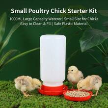 Chick Feeder For Small Poultry Starter Durable Plastic Easy-Clean Design - Feeder - View 2