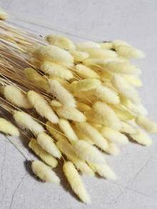 60/120/240入 波西米亞風人造花藝裝飾 兔尾芒草 多色蒲公英花 家居婚禮辦公室咖啡廳裝飾 情人節母親節禮物 - 金色 - 查看 6