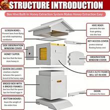 Self-Flowing Beehive Starter Kit, Wax-Coated Fir Wood Auto Honey Hive With Flow Frames & Observation Window, Complete Beekeeping Equipment For Backyard Beginners - mặc định - Xem 4