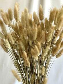 60/120/240入 波西米亞風人造花飾 兔尾芒草 多色蒲公英花 家居婚禮辦公室咖啡廳裝飾 情人節母親節禮物 - 原色2 - 查看 6