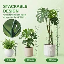 Poste de soporte de bambú con respaldo de tortuga, poste alto apilable con amarre de gancho y bucle, diseñado especialmente para el soporte del tallo de plantas trepadoras - Pilar hortícola de estilo ratán duradero, adecuado para la jardinería al aire libre - A - Ver 3