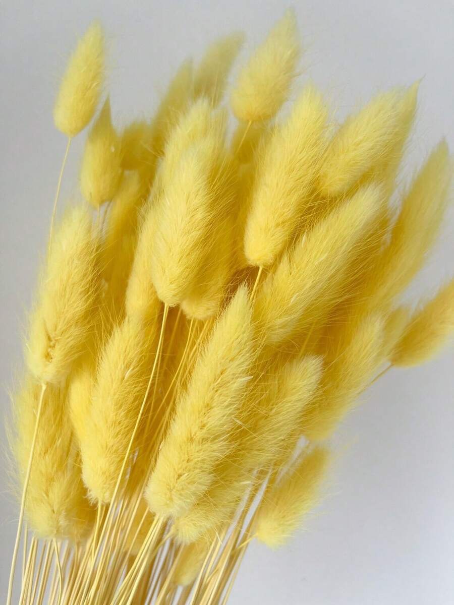 60/120/240入 波希米亞風人造花藝裝飾 兔尾芒草 多色蒲公英花 家居婚禮辦公室咖啡廳裝飾 情人節母親節禮物 - 黃色 - 查看 1
