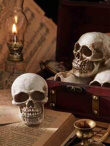 1 Desktop Skull Home Decoration, Resin Skull Model, Realistic Skull, Elderly Skull Life-Size Skull, Halloween Decoration - A - View 4