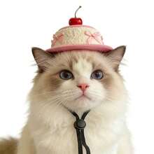 Cute Cherry Cake Shaped Pet Hat, Adjustable Dog Party Hat With Bow, Photo Prop For Small Dogs And Cats - Multicolor - View 3