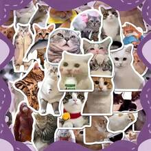 1pc Funny Meme Cat & Animal Stickers, Stickers For Squishy , Laptops, Water Bottles, Skateboards, Cute Cat Meme Decals For Squishy Decoration, Animal Stickers Pack For Teens Adults, Perfect For DIY Crafts, Party Favors, Gift Decor - Multicolor - View 14