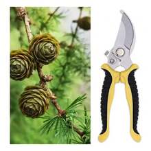 2pcs Tijera, Kit De Tijeras De Podar Manuales Para Jardín - A - Ver 6