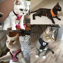 Pet Picks 寵物貓狗牽繩套組，附防脫逃可調節胸背帶、反光安全帶與項圈，柔軟透氣網布材質 - 綠色 - 查看 9