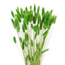 60/120/240入 波西米亞風人造花飾 兔尾芒草 多色蒲公英花 家居婚禮辦公室咖啡廳裝飾 情人節母親節禮物 - 綠色 - 查看 6