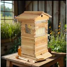 Mini Auto Flowing Beehive Wooden Auto Bee Hives Mini Boxes Box Beekeeping House 4 Flow Frames Add 6 Brood Frames - default - View 1