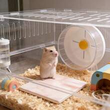 1片小動物倉鼠冷卻墊，防咬防翻轉冷卻墊，易於清潔，倉鼠夏季冷卻墊，小寵物籠裝飾 - 彩色 - 查看 9