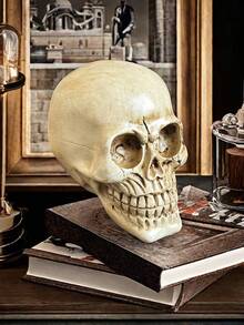 1 Desktop Skull Home Decoration, Resin Skull Model, Realistic Skull, Elderly Skull Life-Size Skull, Halloween Decoration - A - View 3