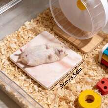 1片小動物倉鼠冷卻墊，防咬防翻轉冷卻墊，易於清潔，倉鼠夏季冷卻墊，小寵物籠裝飾 - 彩色 - 查看 2