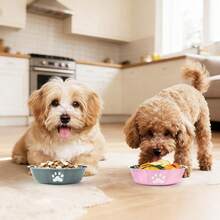 1pc Stainless Steel Pet Bowl, Dog Food Bowl, Cat Bowl, Anti-Slip Water Bowl, Pet Anti-Slip Anti-Fall Drinking Bowl, Suitable For Medium Dogs, Small Dogs And Kittens, Portable And Practical, Great Gift For Pets - Multicolor - View 6