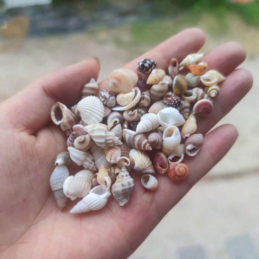 [Approx. 200pcs] Ins Style Mixed Shell Fragments - Handmade DIY Decorative Material Mini Colorful Shells For Bottle Decoration/Aquarium Decoration Small Shells, Miniature Shells, Zen Garden, Aquarium Or Fairy Tale Beach Small Shells, Summer Small Shells - Irregular - View 1