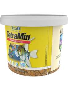 TetraMin Tropical Flakes 4.52 Pounds, Nutritionally Balanced Diet Aquarium Fish - Style D - View 5