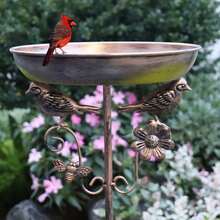1pc Outdoor Standing Bird Bath, Bronze Decorative Bird Bath, Dual-Use Waterer And Bird Feeder For Yard And Lawn, Attracts Wild Birds, Decorative Ornament With Bird Decoration, Rust-Proof Iron Art Dual-Use Waterer For Garden - Multicolor - View 8