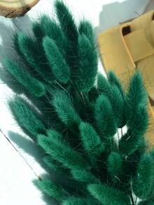 60/120/240入 波希米亞風人造花藝裝飾 兔尾芒草 多色蒲公英花 家居婚禮辦公室咖啡廳裝飾 情人節母親節禮物 - 墨綠色 - 查看 3