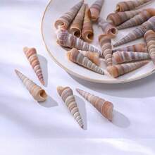 200g 小蝸牛殼 | 隨機色調 - 適用於 DIY 貝殼風鈴、魚缸水族裝飾、迷你寄居蟹替換殼、手工藝品家居掛飾 - A - 查看 5