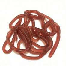 5pcs/Set Realistic Rubber Worms, Lifelike Fake Worms For Pranks, Party Favors, Halloween Props, Suitable For Teens And Adults 14+ Years Old - A - View 6