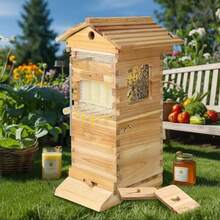 Mini Auto Flowing Beehive Wooden Auto Bee Hives Mini Boxes Box Beekeeping House 4 Flow Frames Add 6 Brood Frames - default - View 4