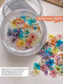 Decorações de Unhas com Flores Secas de Cores Mistas, Decoração de Arte de Unhas com Flores Pequenas Românticas Primavera/Verão 2026, Acessórios de Decoração DIY de Manicure com Flores Secas Reais, Encantos de Unhas - Multicolorido - Visão 11