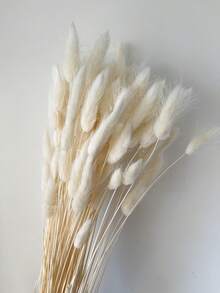 60/120/240入 波希米亞風人造花藝布置 兔尾芒草 多色蒲公英花 家居婚禮辦公室咖啡廳裝飾 情人節母親節禮物 - 白色1 - 查看 3