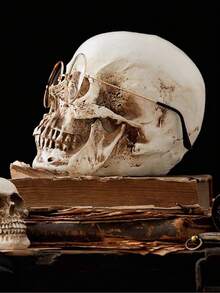1 Desktop Skull Home Decoration, Resin Skull Model, Realistic Skull, Elderly Skull Life-Size Skull, Halloween Decoration - A - View 5