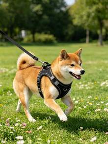 小型中型犬用狗胸背帶牽繩套裝，法鬥幼犬防拉胸衣，可調節柔軟透氣網布，四季舒適散步 - 彩色 - 查看 5