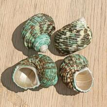 10 Small Green Snail Shells | Random Colors And Patterns - Suitable For Small Hermit Crab Shell Replacement, Aquarium Landscaping Decoration, DIY Seashell Wind Chimes, Home Hanging Decor, Ocean Theme Party Decoration - Random Pattern - View 2